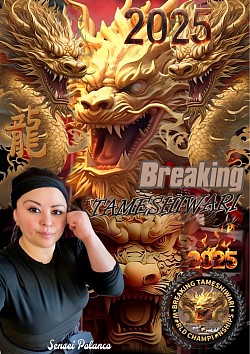 Breaking Tameshiwari online